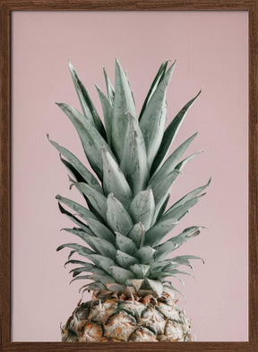 Pineapple Pink 02 Poster - Corkframes.com