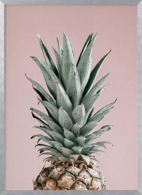 Pineapple Pink 02 Poster - Corkframes.com