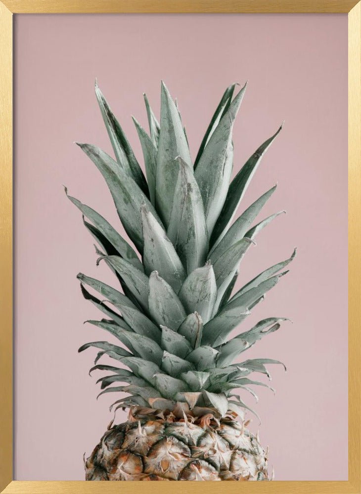 Pineapple Pink 02 Poster - Corkframes.com