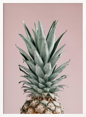 Pineapple Pink 02 Poster - Corkframes.com