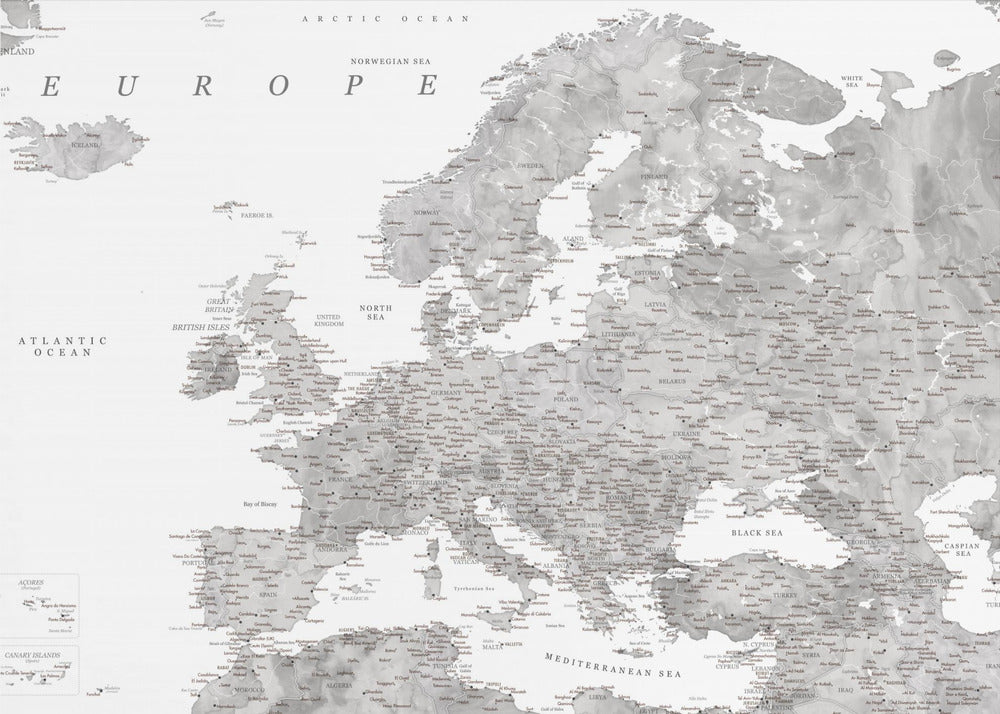 Gray watercolor Europe map Poster