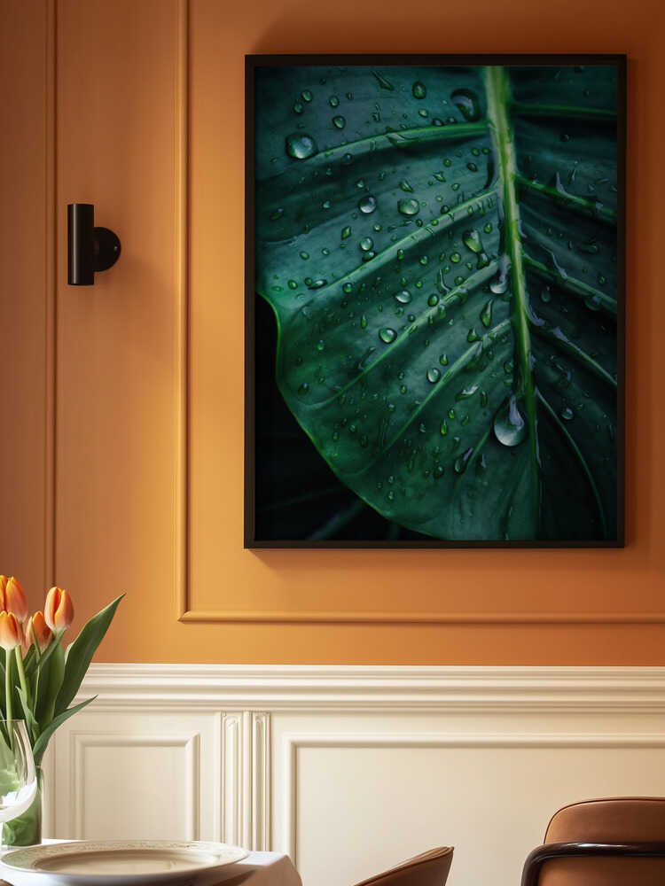 Rain Kissed Leaf Poster