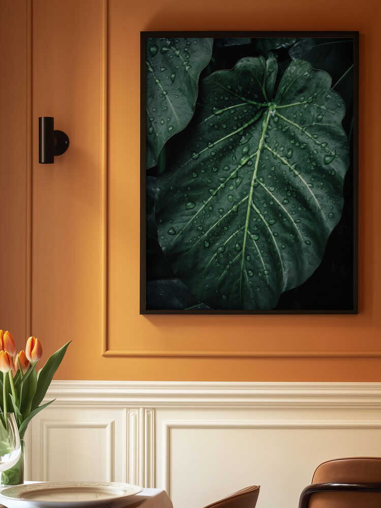 Rain Kissed Leaves Poster
