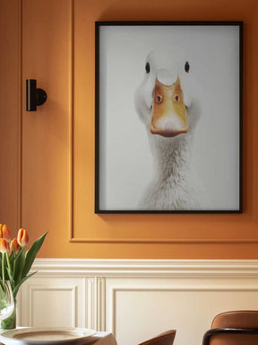 The White Duck Poster