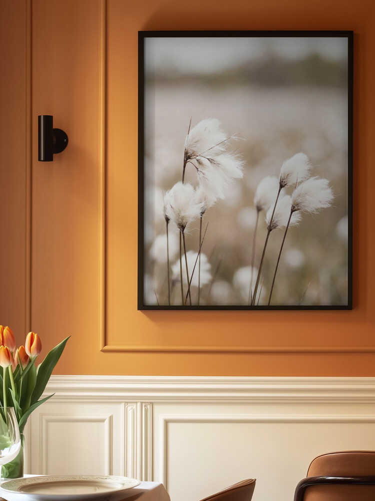 Cotton Grass - Eriophorum Poster