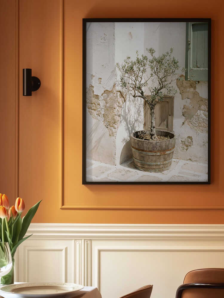 Small Olive Tree In a Wooden Barrel Poster