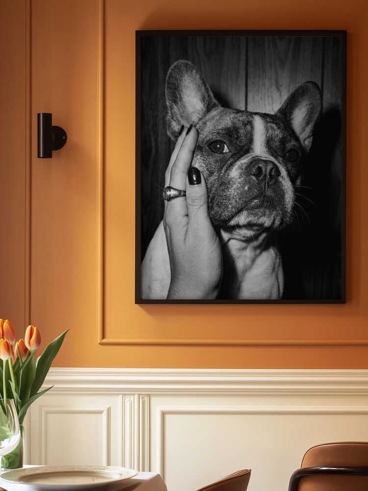 Petting a Frenchie Poster
