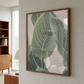 Calla Leaf Poster