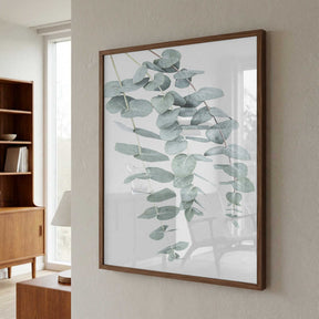 Eucalyptus I Poster