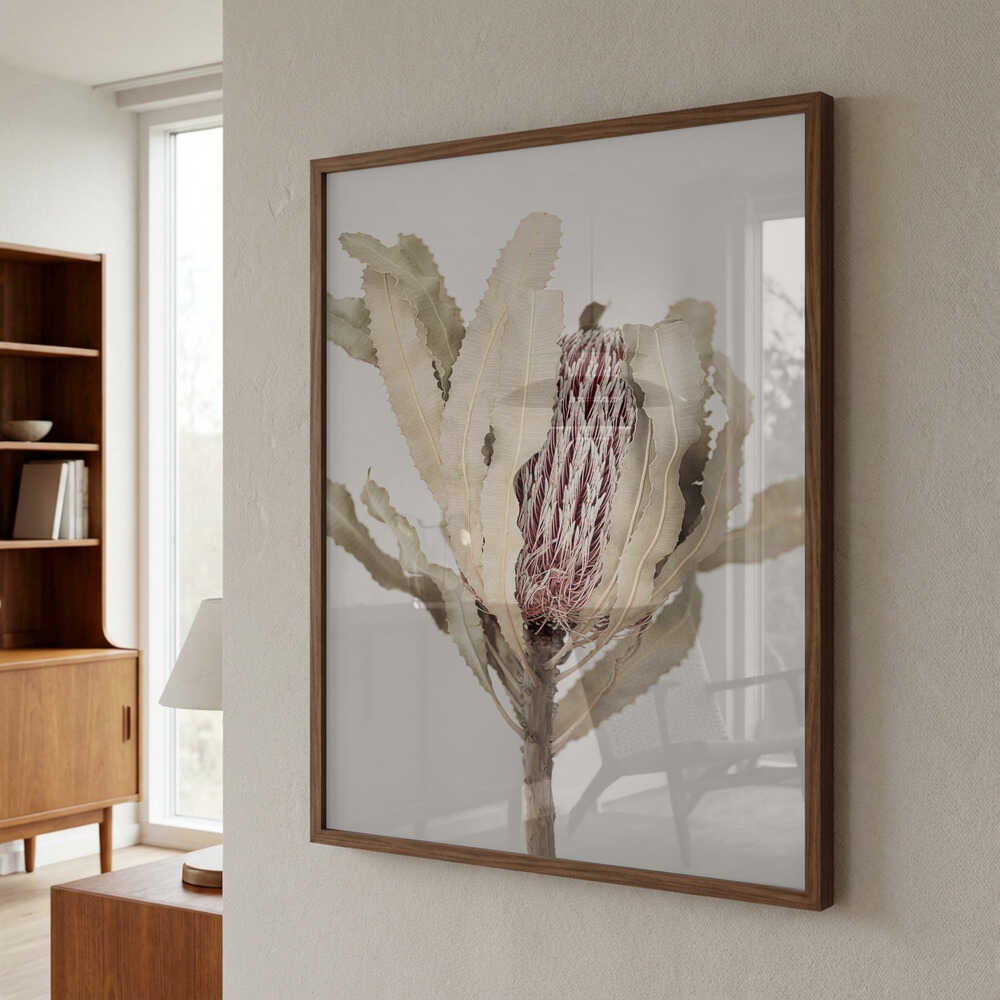 Banksia Poster
