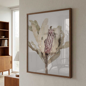 Banksia Poster