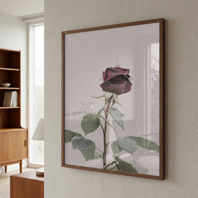 Rose Poster