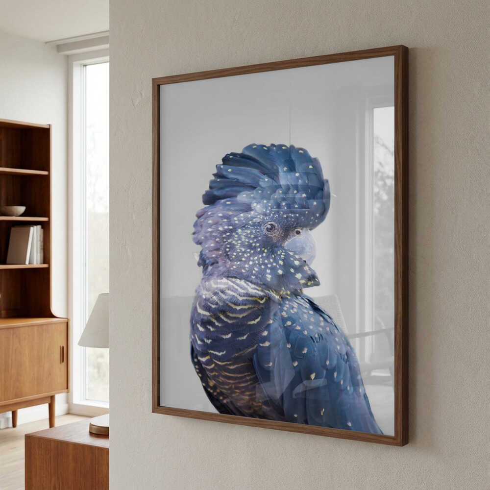 Black Cockatoo Poster