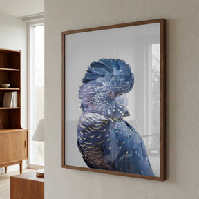 Black Cockatoo Poster