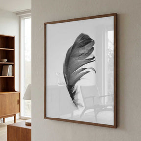 Feather Poster