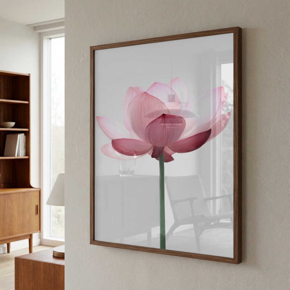 Lotus Flower Poster