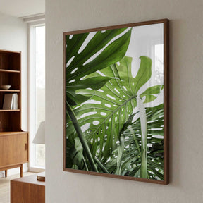 Jungle Poster