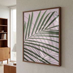 Palm Leaf Shadow Poster