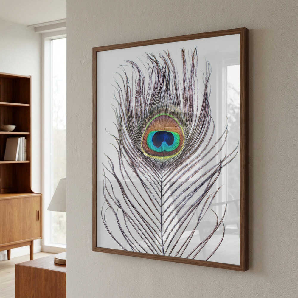 Peacock Feather Poster
