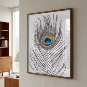 Peacock Feather Poster