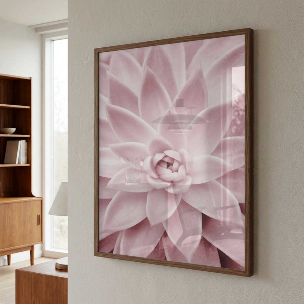 Pink Succulent Poster