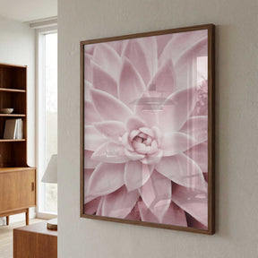 Pink Succulent Poster