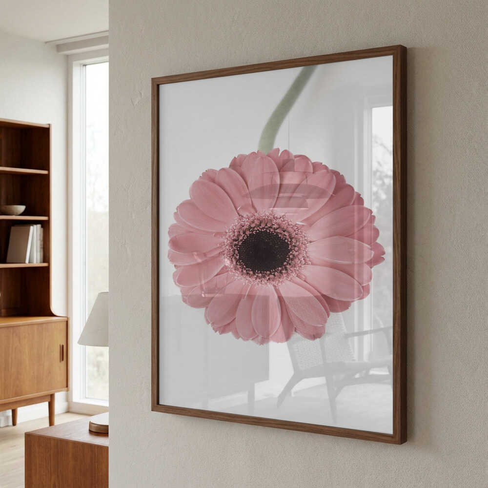 Pink Gerbera II Poster