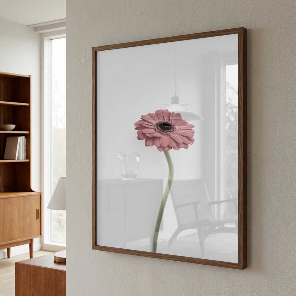 Pink Gerbera Poster