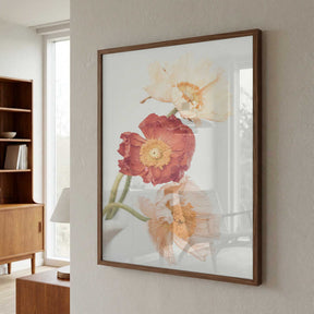 Poppies Poster