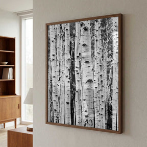 Birches Poster