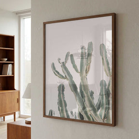 Sunrise Cactus Poster