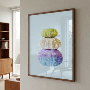 Sea Urchins Poster