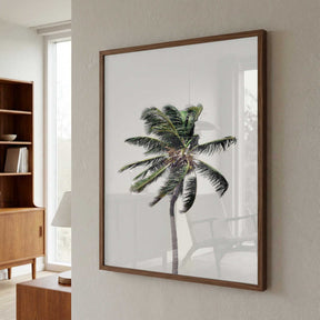 Windy Palm Tree Poster
