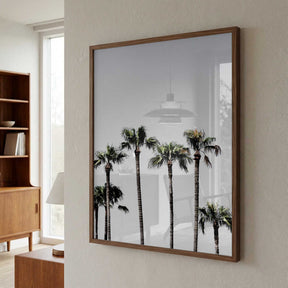 Palm Trees 5 Poster
