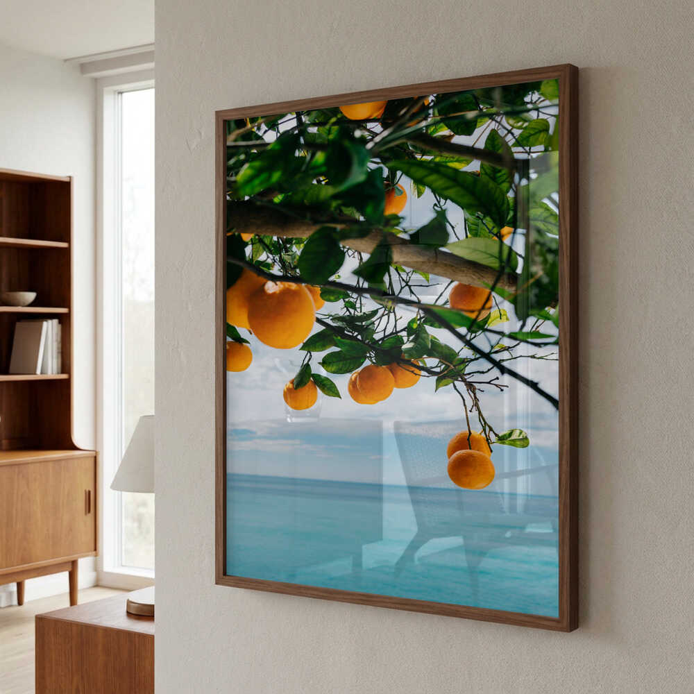Amalfi Coast Oranges IV Poster