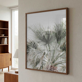 Palm Leaf Poster