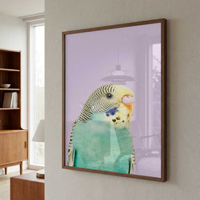 Badgie Poster