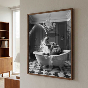 Splish Splash Safari Poster