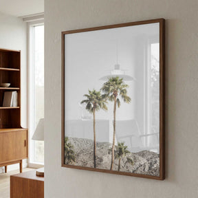 Palm Springs Palms Poster