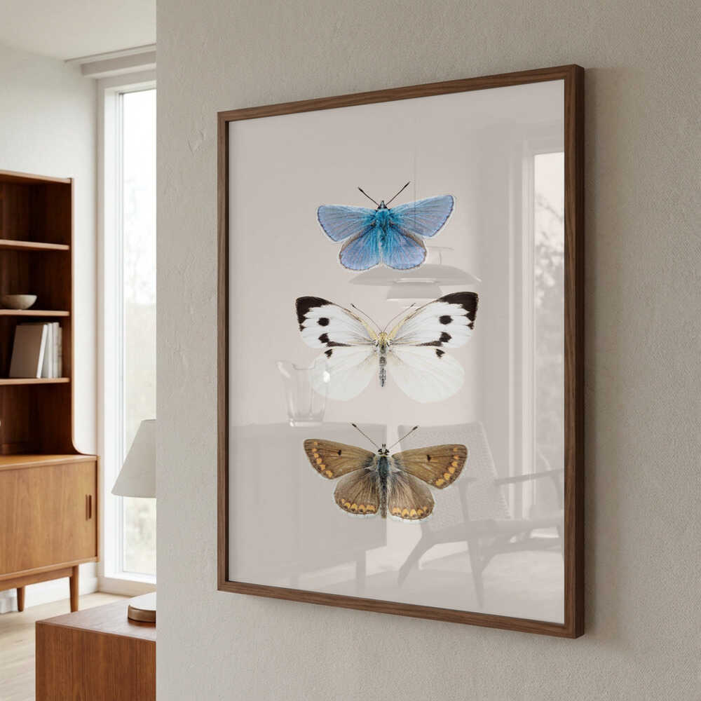 English Butterlies 2 Poster