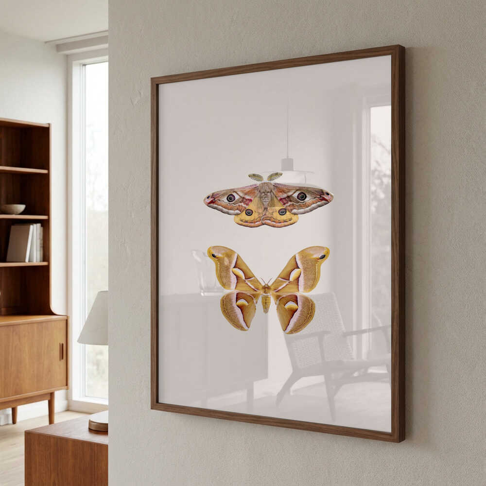 Moths Poster