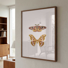 Moths Poster