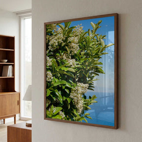 Amalfi Coast Flowers IV on Film Poster