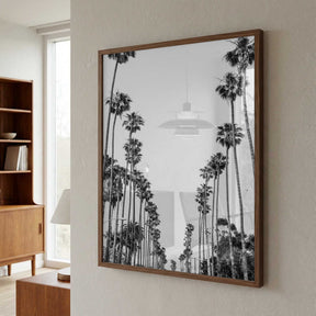 Palm Alley Poster