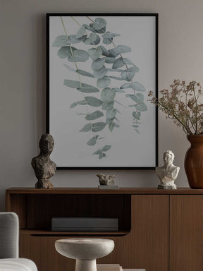 Eucalyptus I Poster