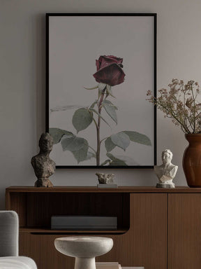 Rose Poster