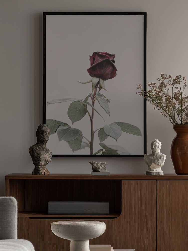 Rose Poster