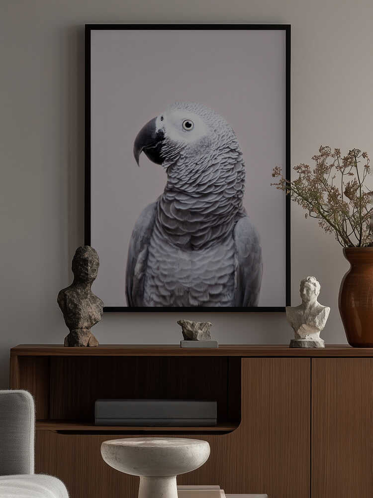 African Grey Poster