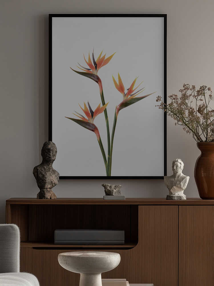 Birds of Paradise Poster