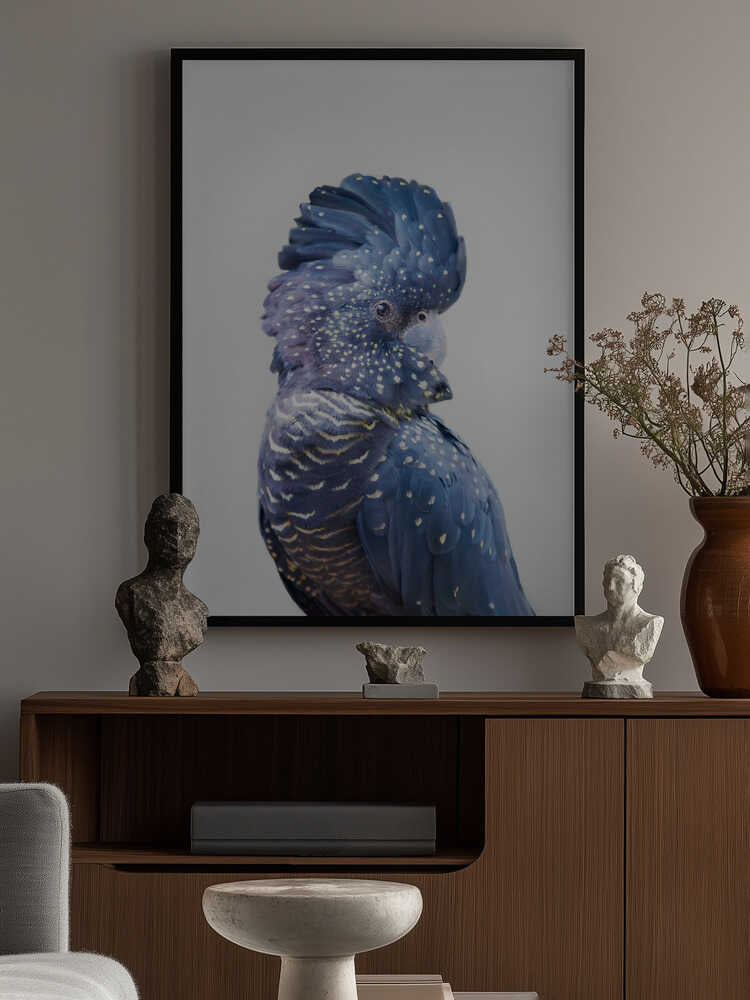 Black Cockatoo Poster